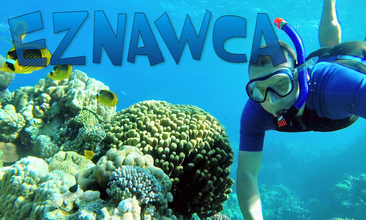 Blog Eznawca.pl